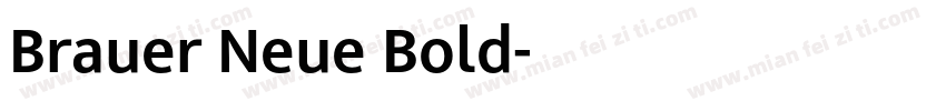Brauer Neue Bold字体转换